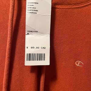 Urban outfitters champion hoodie